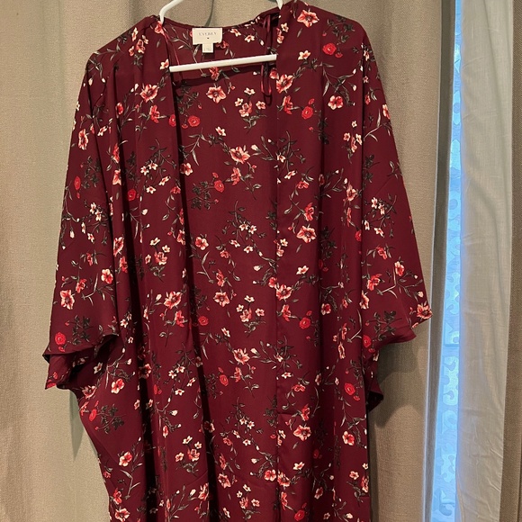 Burgundy shall - Picture 1 of 2